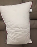 水星家纺枕头枕芯酒店枕头护颈枕头芯家用一对纯棉抗菌可水洗中枕48x74cm 实拍图