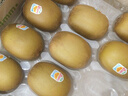 佳沛（zespri）新西兰  阳光金奇异果18粒超大果原箱单果重约173-204g 猕猴桃 实拍图