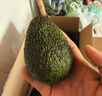 正宗进口秘鲁哈斯牛油果孕妇水果宝宝辅食进口鳄梨整箱批发价 2个装 单果重70-100克 实拍图