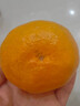 京鲜生 浙江涌泉蜜桔 净重4.5-5斤 单果65-75mm 桔香浓郁 源头直发包邮 实拍图