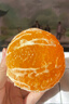 京鲜生 爱媛果冻橙 净重5斤 单果130g起 生鲜水果桔子礼盒 实拍图