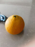 京鲜生 无核蜜桔 精选5斤装橘子/桔子  单果80g+ 生鲜水果礼盒 实拍图