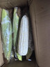 顾果鲜广西白糯牛奶玉米9斤新鲜现摘黏粘棒子带皮生苞米甜嫩农家自种 5斤 实拍图