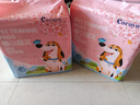 COCOYO春日樱花中型犬印花尿垫宠物训导除臭尿垫狗狗 M号45*60cm/50片 实拍图