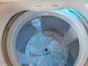小天鹅（LittleSwan）波轮洗衣机全自动 12公斤大容量 小乌梅轻奢版【TB12VE20DW】水魔方防缠绕 家电国家补贴20% 实拍图