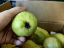 京鲜生白心芭乐番石榴净重3斤 单果150g起 脆果 水果源头直发包邮 实拍图