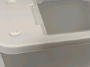 京东京造 米桶食品接触级防虫储存大米食品级面粉桶米缸杂粮收纳盒20斤 实拍图