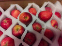 映棠 东北鸡心果5斤【顺丰快递—多地次日达】海棠果玫瑰小苹果礼盒装 3斤大果【人工精选】 现摘现发 实拍图