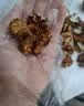 沐小七果蔬 大凉山新鲜湿核桃【多地次日达】去青皮嫩纸皮核桃水果礼盒送礼 S+级老树甄选果【品质升级】 去青皮5斤装【送夹子】超划算-80%选丨净4斤 实拍图