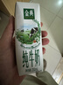 伊利【新鲜日期】金典纯牛奶整箱 250ml*16盒 3.6g乳蛋白 礼盒装 实拍图