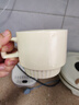 彩致（CAIZHI）陶瓷马克杯奶fufu水杯生日送闺蜜男女朋友伴手礼小熊猫杯子CZ6992 实拍图