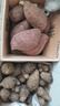 京鲜生广西紫罗兰紫薯净重9斤单果150g+ 紫心地瓜新鲜蔬菜 源头直发包邮 实拍图