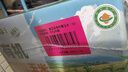 金沃瑞丰【25年头茬】白糯有机玉米棒220g*8根3.5斤 新鲜甜粘非转基因早餐 实拍图