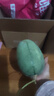 正宗哈密瓜西州蜜大果甜瓜新鲜采摘蜜瓜脆甜多汁整箱 哈密瓜4-5斤（1-2粒装） 实拍图