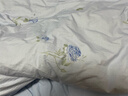 水星家纺四件套床上纯棉100%a类全棉透气被套床单双人1.5米×2米床蓝玫瑰家居馆 实拍图