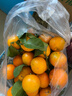 懒鲜生广东正宗沙糖桔清甜无渣砂糖橘新鲜 2斤净重 小果（30-40mm-花皮 介意慎拍） 实拍图