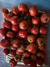 山胖子山楂果大金星山东新鲜水果冰糖葫芦山里红酸甜可口现摘现发 山楂特大果2斤（送食谱+竹签） 实拍图
