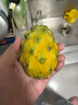 京鲜生 燕窝果麒麟果 黄皮白肉火龙果 2粒装 单果150g 新鲜水果 实拍图