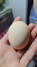 京喜加农家新鲜散养鸡蛋单枚40g正负5g谷饲蛋初生蛋溏心蛋早餐生鲜买菜 10枚 实拍图
