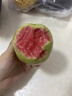 京源采红心软芭乐新鲜水果番石榴应季低糖孕妇生鲜礼品单果130g+ 广东红心芭乐净重4.5斤（推荐） 实拍图
