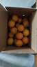 京鲜生 江西赣南脐橙 净重10斤 铂金果 单果180g起 生鲜水果橙子礼盒 实拍图