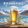 青海湖啤酒  10° 精酿青稞500ml*12 瓶大西北特色啤酒 整箱装 实拍图