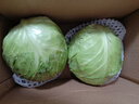 包菜新鲜卷心菜大头菜农户自种当季绿叶蔬菜绿甘蓝 绿甘蓝 3斤 实拍图