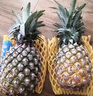 京鲜生 海南金钻凤梨 中果4个装 单果约600g以上 生鲜水果 实拍图
