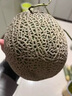 现货正宗保甜当季新鲜水果脆甜晓蜜哈密瓜 精选2-3斤（1颗装） 实拍图