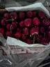 京鲜生 智利进口车厘子2J级 900g礼盒装 果径约28-30mm 新鲜水果礼盒 实拍图