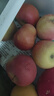 正宗山东红富士苹果丑苹果新鲜水果当季脆甜冰糖心苹果嘎啦果 带箱2斤55mm+ 实拍图