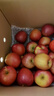 京鲜生 云南昭通丑苹果 净重9斤装 单果130g起  新鲜水果 实拍图