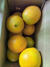 京觅 江西赣南脐橙4.5斤净重橙子单果160g纽荷尔甜橙新鲜水果源头直发 实拍图