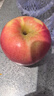 京鲜生 新疆阿克苏苹果  净重5斤装 果径90-95mm 新鲜水果 实拍图