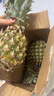 广东徐闻香水菠萝新鲜水果生鲜热带孕妇水果整箱包邮 【限时低价】1个装  单果650g起 实拍图