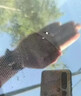 汽车玻璃修复液玻璃裂修补胶水前挡风玻璃裂缝小坑无痕修复还原剂 五瓶装【买三送二】 实拍图