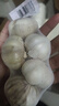 山东金乡蒜大蒜出口标准精选大蒜头蔬菜调料单果5cm 网兜装袋5头 150g 5-5.5cm特大 实拍图