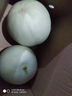 京鲜生 玉菇甜瓜 2粒装 单果重2-2.8斤净重4-5.5斤 生鲜水果礼盒 实拍图