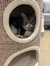 兽牌树洞剑麻桶猫窝猫抓板一体剑麻猫爬架双层大猫屋半封闭式冬季保暖 砂砾灰丨三层剑麻桶 实拍图