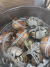 【活蟹】蟹宗大闸蟹鲜活螃蟹河蟹现货全母3.5-3.8两8只去绳足重水产生鲜海鲜礼品礼盒 实拍图