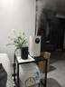 格力（GREE）加湿器静音卧室母婴专用UV除菌 整机拆洗空气加湿器立式桌面 家用办公室大雾量 空调房加湿50X62 实拍图