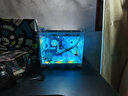 华硕14600K/265K/AMD9600X/9700X/7800X3D/9800X3D CPU无卡主机组装电脑台式主机3D游戏电竞DIY整机 R5 9600X+无卡过度机 配置三 实拍图