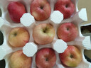 京鲜生山东烟台红富士苹果净重8斤单果80mm+生鲜水果源头直发 实拍图