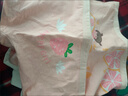 北极绒4条装儿童内裤女童发育期纯棉女孩学生10A抑菌平角短裤宝宝中大童 实拍图