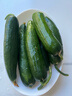 山东寿光水果黄瓜生吃脆新鲜荷兰青瓜当季无刺小黄瓜源头直发 精品水果黄瓜 3斤 实拍图