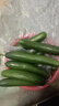 京喜加新鲜无刺水果小黄瓜小青瓜脆甜荷兰脆嫩生吃黄瓜蔬菜 水果黄瓜 2斤 带箱活动 实拍图