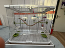 哈根哈利鹦鹉鸟笼中小型豪华亚克力虎皮牡丹玄凤小太阳和尚防溅别墅笼用品 M01中号：长62宽39高53cm 晒单实拍图