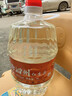 水韵泗州江苏酒厂【百姓口粮】46度4L红高粱浓香型纯粮食酒大桶泡酒纯粮 46度 4L 1桶 实拍图