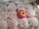 京鲜生 栖霞红富士苹果 净重6.4斤 单果230g+ 水果礼盒 实拍图