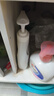 威露士清可新松木内衣净300ml*4 抑菌除螨去血渍内衣洗衣液内衣裤洗衣液 实拍图